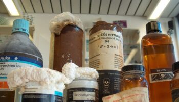 Comment recycler les déchets d'activités à risques infectieux ?